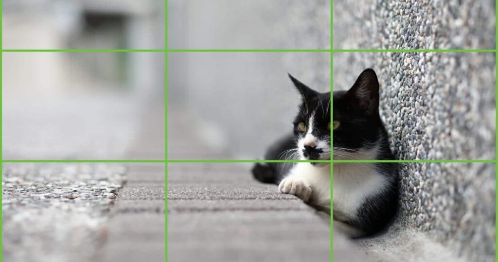 Improve Your Photos with the Rule of Thirds