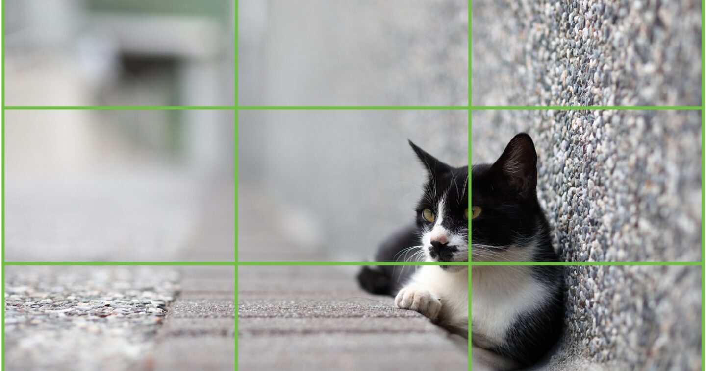 Improve Your Photos with the Rule of Thirds