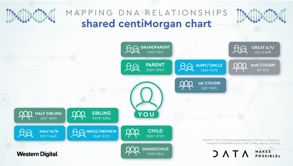 Family Dna Chart