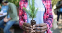Woman holding tree sapling for Earth Day volunteering.