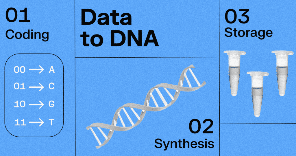 Image showing steps of how digital data is converted into synthetic DNA.