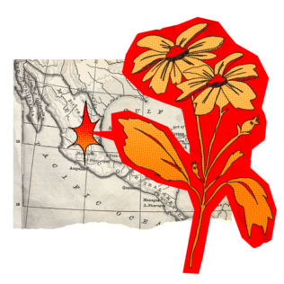 Drawing of a flower in front of the map of Mexico, symbolizing the botanical work and discoveries of Mexican-American botanist Ynés Mexía.